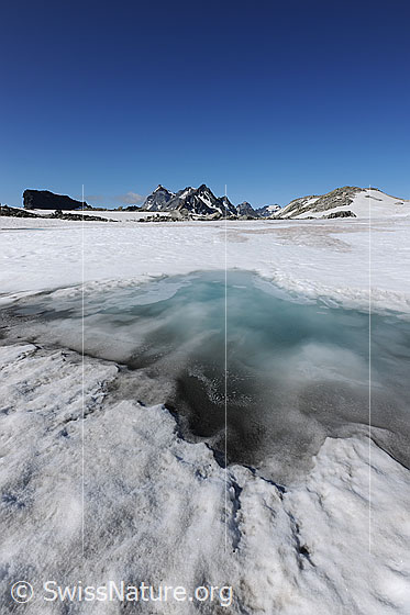 Foto: Bergsee mit Eisdecke. Das Eis des gefrorenen Schwarzsees beginnt zu tauen. Im Horizont sind die Bergspitzen von Scherbadung und Schwarzhorn erkennbar.