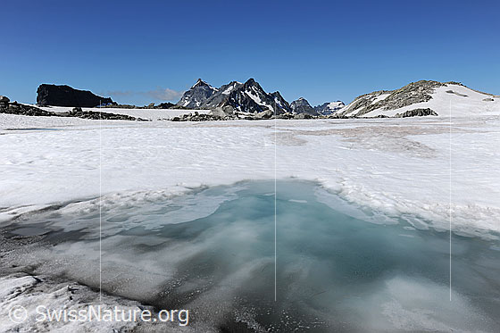 Foto: Weiten im Eis. Schneebedeckte Eisdecke des zugefrorenen Schwarzsee. Am Ufer des auftauenden Bergsees ist Wassereis zu sehen. Im Horizont ragen die Berggipfel des Scherbadung und Schwarzhorn in den blauen Himmel.