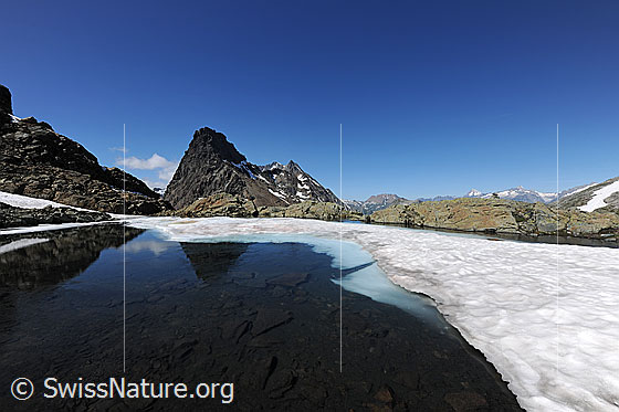 Foto: Auftauender Bergsee mit Spiegelung des Rothorns im flachen Gewässer. Am Schneerand ist noch Eis zu sehen.