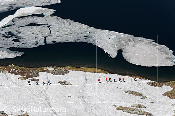 Foto: Zwei Gruppen Wanderer queren ein Schneefeld am Ufer des Geisspfadsee. Im Bergsee treiben Eisschollen.
