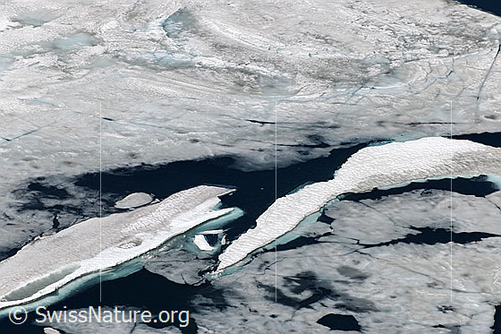 Foto: Dünne Eisdecke und Eisschollen auf Bergsee (Geisspfadsee).