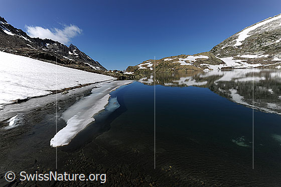 Foto: Tiefblauer Bergsee mit Spiegelung der Berglandschaft. Am Ufer, an welchem noch ein Schneefeld liegt, befindet sich eine Eisscholle. Sie spiegelt sich im klaren, stillen Geisspfadsee.