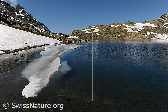 Foto: Eisscholle im Geisspfadsee mit Schneefeld am Ufer. Die Scholle spiegelt sich im blauen Wasser des Bergsees.