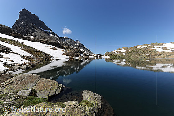 Foto: Berge und See mit Spiegelung. Am Ufer des Bergsees sind Felsblöcke, Schneefelder und im Hintergrund das mächtige Rothorn zu sehen. Die Berglandschaft spiegelt sich im ruhigen Bergsee (Geisspfadsee).