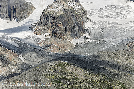 Foto: Felskopf und Gletscherzungen des Sidelengletschers.