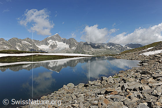 Foto: Schwärziseeli und Galenstock in Berglandschaft mit Quellwolken. Die Farbe des Bergsees ist blau. Die eine Seeseite weist Gras und ein Schneefeld auf, während im Vordergrund zahlreiche Steine und kleine Felsblöcke das Ufer bilden.