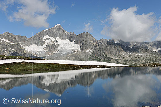Foto: Schwärziseeli und Galenstock mit Spiegelbild. Am Ufer des Bergsees liegt ein schmales Schneefeld und am Himmel sind Quellwolken zu sehen.
Gletscher: Sidelengletscher