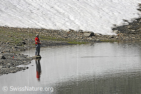 Foto: Fischer am Schwärziseeli. Der Firscher steht auf einer kleinen Felsplatte am Ufer und spiegelt sich im Wasser. Im Hintergrund ist ein Schneefeld zu sehen.