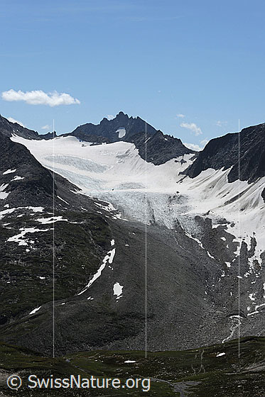 Photo: Mutten Glacier with pronounced supraglacial moraine in the area of the tongue. Taken from Stotzigen Firsten.
Summits / crossings: Muttenhornpass - Pizzo Rotondo - Muttenhornlücke - Stotzig Muttenhorn (foothills).
