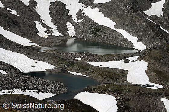 Foto: Schwärziseeli (Mittlerer und oberer Bergsee) umgeben von Geröllfeldern und Schneeresten.