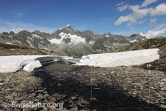 Foto: Galenstock und Bergbach. Steine und Schneereste am Ufer eines ruhigen Bergbachs in flachem Gelände mit Bergkette und Galenstock im Hintergrund. Am hellblauen Himmel sind wenige Quellwolken zu sehen.