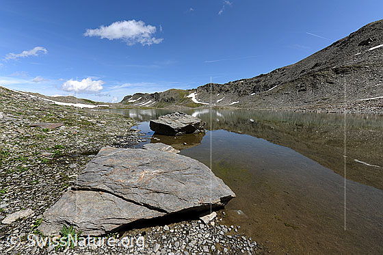 Foto: Felsplatten im Schwärziseeli. Im ruhigen Bergsee spiegelt sich ein Berghang. Das Ufer besteht aus zahlreichen kleinen Steinen. Im Hintergrund ist der Stotzigen Firsten zu sehen. Einzelne Quellwolken zieren den hellblauen Himmel.