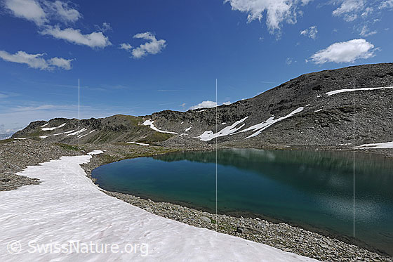 Foto: Schwärziseeli (Oberster Bergsee). Die Berglandschaft mit Stotzigen Firsten spiegelt sich schwach im blauen Wasser. Am steinigen Ufer liegt ein kompaktes Schneefeld und am Himmel sind kleine Quellwolken zu sehen.