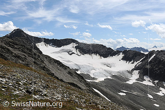 Foto: Gross Muttenhorn und Muttgletscher.