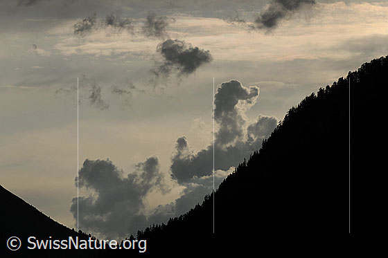 Foto: Wolkenstimmung mit aufsteigenden Quellwolken über der Kontur eines Taleinschnitts. Die Wolken weisen interessante Formen auf.