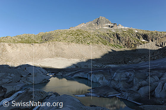 Foto: Morgenstimmung am Rhonegletscher. Die Seitenmoräne und die Gärstenhörner sind im Morgenlicht zu sehen, während sich der Gletschersee und die Gletscherzunge noch im Schatten befinden. Das Gletschereis am Abbruch spiegelt sich im kalten, ruhigen Wasser der Rhonequelle.
