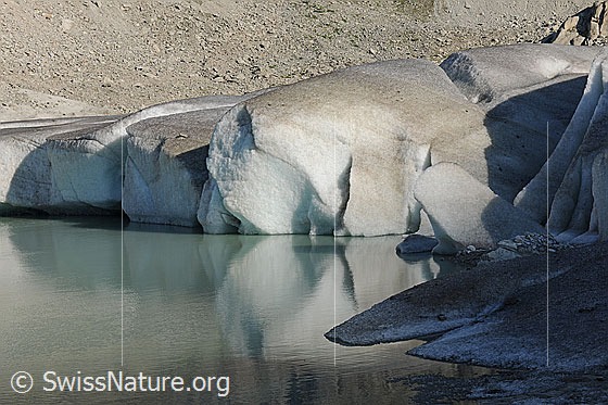 Foto: Gletschereis mit Spiegelung im Gletschersee.