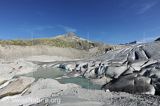 Foto: Rottensee und Rhonegletscher mit Gärstenhörner im Hintergrund. Die Eisdecke des Gletschers hat weiter an Masse verloren und der See an der Gletscherzunge wird laufend grösser. 