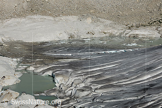 Foto: Fjordsee am Rhonegletscher. Die übrig gebliebene Eisdecke der Gletscherzunge scheint auf dem See zu schwimmen und weist bereits Kanäle auf. Die beiden Gletscherseen werden bald zu einem Gewässer vereint sein. 