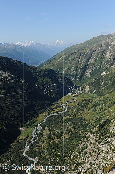 Foto: Flusslandschaft der Rhone. Tiefblick auf den unverbauten Flusslauf der Rhone. Der Fluss schlängelt sich durch den lichten Lärchenwald der Hochebene Gletschbode.