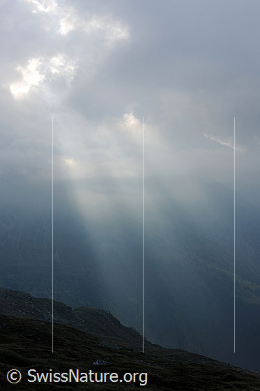 Foto: Lichtstrahlen aus einer Wolkendecke.