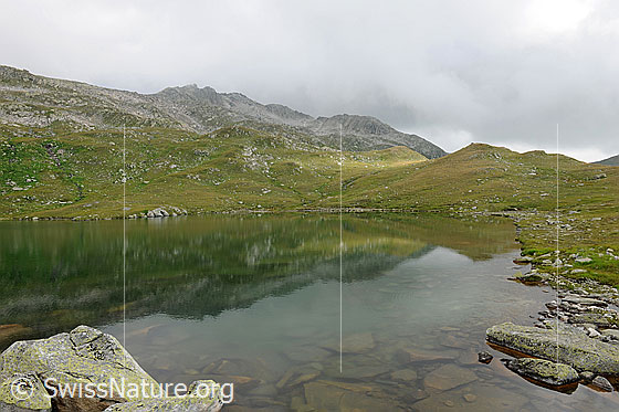 Foto: Lengsee (oberhalb Obergesteln) mit Spiegelung der Berglandschaft mit Alpweiden. Am flachen Ufer sind Felsblöcke zu sehen. Der Himmel ist bewölkt.