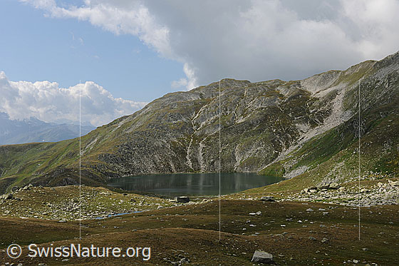 Foto: Rundsee im Sommer. Der Bergsee befindet sich in einer Mulde und ist von Alpweiden mit Felsblöcken umgeben. Darüber sind mächtige Quellwolken zu sehen.