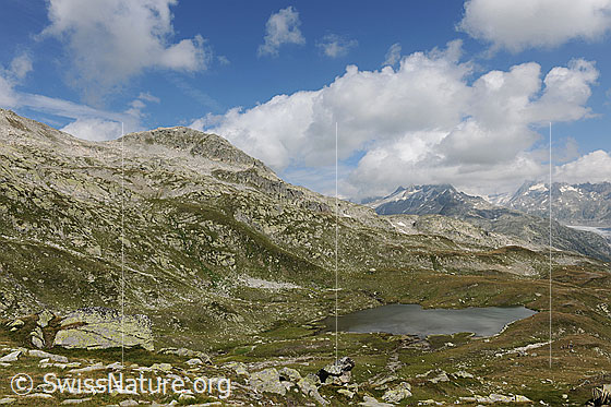 Foto: Sidelhorn und Jostsee in Fels und Gras druchsetzter Berglandschaft mit Alpweiden. Darüber sind Quellwolken zu sehen.