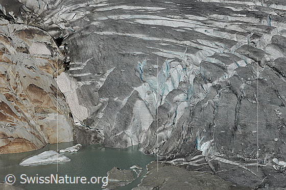Foto: Proglazialer See, Gletscherschliff und Gletschereis. Die geschliffenen Felsen am Gletscherrand sind von rotbrauner Farbe. Der Gletscher weist Längsspalten und Querspalten auf und auf dem See schwimmen Eisschollen.
