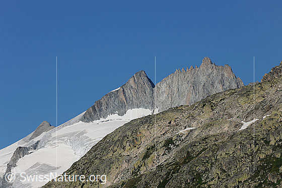 Foto: Dammastock, Rhonestock und Tiefenstock. Rechts vom Rhonestock das Obere Winterjoch.
Gletscher: Rhonegletscher