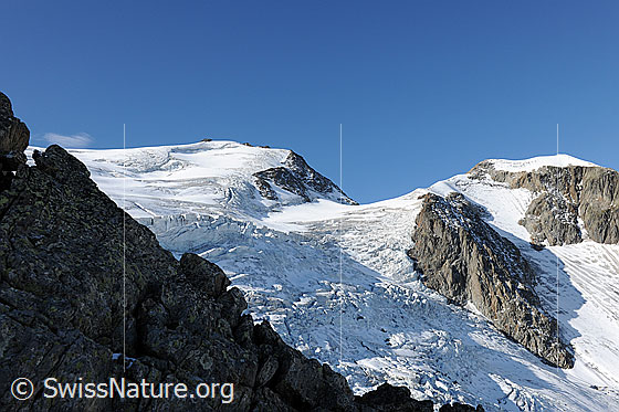 Foto: Steilimigletscher (Steinlimigletscher).
Gipfel: Mittler Tierberg und Vorder Tierberg.