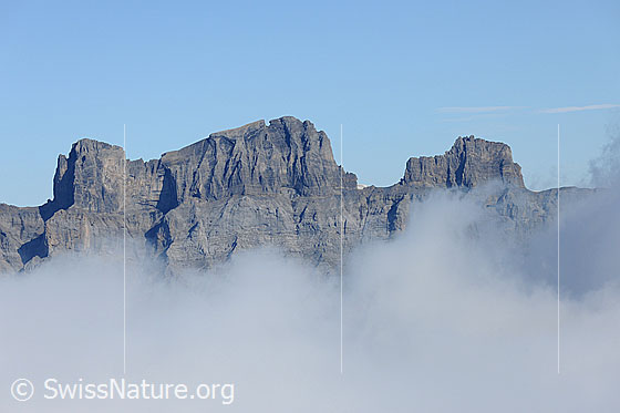 Foto: Wendenstöcke von S.