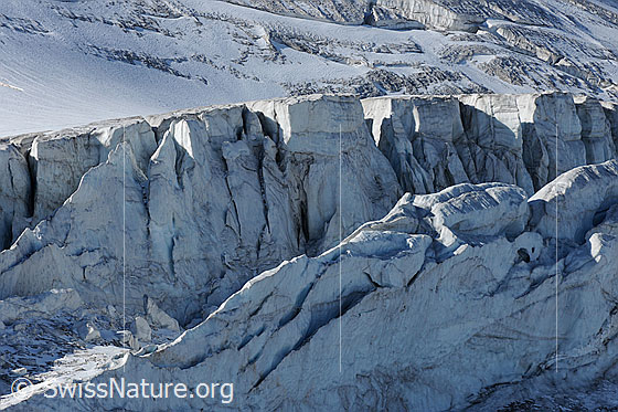 Foto: Gletscherabbruch im Steilimigletscher (Steinlimigletscher).
