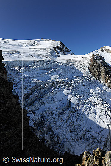 Foto: Steilimigletscher und Tierberge.