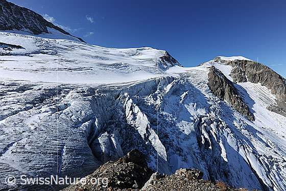 Foto: Gletscherabbruch Steilimigletscher.
