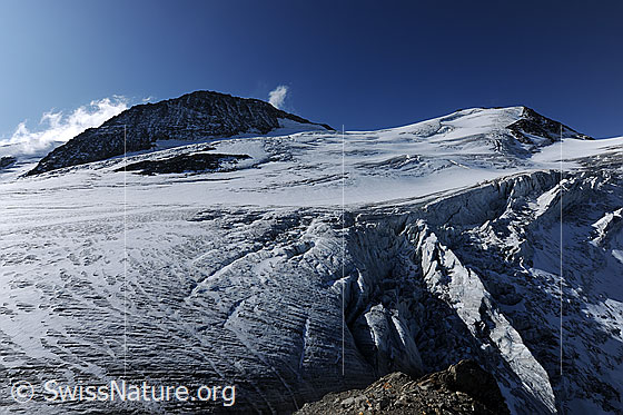 Foto: Gwächtehorn, Mittler Tierberg und Steinlimigletscher.