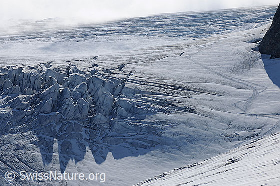 Foto: Eistürme und Spuren auf dem Steigletscher.