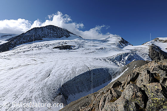 Foto: Gletscherwelt im Sustengebiet. Steigletscher (Steingletscher) und Steilimigletscher (Steinlimigletscher).