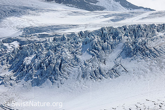 Foto: Spaltenzone im Steigletscher (Steingletscher).