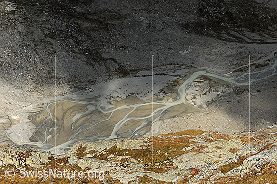 Foto: Schwemmebene vor Steilimigletscher (Steinlimigletscher).