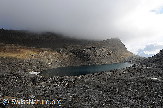 Foto: Chaltwassersee im Gletschervorfeld des Chaltwassergletschers. Der längliche, blaugraue Bergsee ist von Geröllfeldern umgeben. Über der Berglandschaft liegt eine tief hängende Wolkendecke.