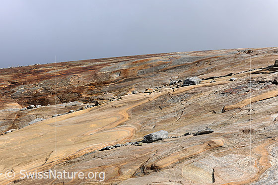 Foto: Marmorierter Gletscherschliff am Chaltwassergletscher. Auf den geschliffenen Felsen liegen Steine und Felsblöcke. Die Farbe der Felsen variert zwischen Grau- und Brauntönen.