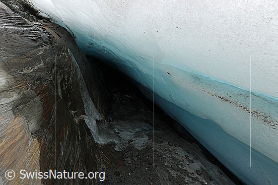Foto: Gletschereis und Gletscherschliff am Gletscherrand des Chaltwassergletschers. Das Gletschereis schmilzt und entfernt sich langsam vom Fels. Am Rand des Gletschers hat sich eine Randkluft gebildet. Das Gletschereis ist hellblau und die bräunliche Felsstufe ist teilweise nass und weist interessante Strukturen auf.