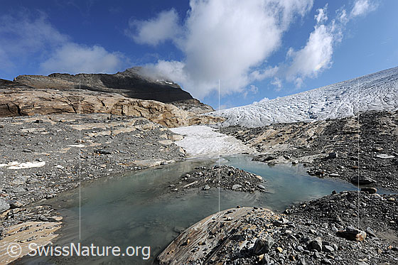 Foto: Gletschervorfeld Chaltwassergletscher mit kleinem Gletschersee umgeben von Geröll und Fels. Im Hintergrund sind die Gletscherzunge des Chaltwassergletschers und das Wasenhorn mit Quellwolken zu sehen.