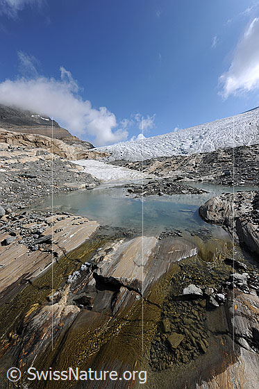 Foto: Gletscherschliff und Gletschersee im Gletschervorfeld des Chaltwassergletschers. Der Abfluss des Gletschersees verläuft über abgeschliffene Felsen, auf welchen sich Geröll abgelagert hat.