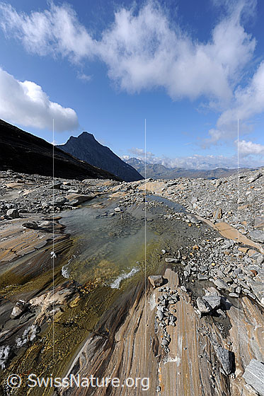 Foto: Gletscherschliff, Gletscherbach und Hübschhorn. Die vom Gletscher abgeschliffenen Felsen im Gletschervorfeld des Chaltwassergletschers weisen feine Zeichnungen in unterschiedlichen Gesteinsfarben auf. Auf dem Gletscherschliff liegen zahlreiche Steine. Am blauen Himmel sind Quellwolken zu sehen.