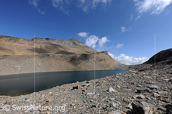 Foto: Chaltwassersee und Chaltwasserpass mit Wasenhorn im Hintergrund. Der Bergsee ist von viel Geröll umgeben.