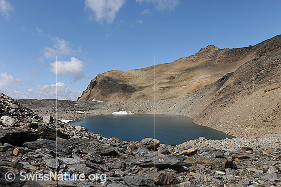 Foto: Chaltwassersee und Mäderhorn. Blick vom Chaltwasserpass über die Geröllhalde mit Bergwegmarkierungen an Felsblöcken auf den blauen Bergsee. Die Berglandschaft ist von bräunlicher Gesteinsfarbe. Am blauen Himmel sind Quellwolken zu sehen.