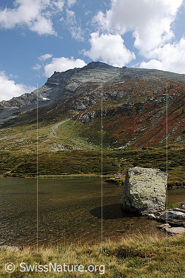 Foto: Herbstbild Rotelsee und Hübschhorn. Die Berghänge weisen Herbstfarben auf und über dem Hübschhorn sind Quellwolken zu sehen. Im Bergsee befindet sich ein grosser Felsblock.