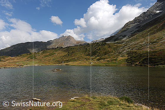 Foto: Bergsee: Rotelsee, Simplon, in herbstlicher Umgebung mit Alpweiden und Berghängen. Über der Berglandschaft mit Wasenhorn und Mäderhorn sind Quellwolken zu sehen.